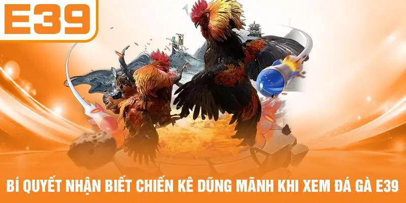 Bí quyết nhận biết chiến kê dũng mãnh khi xem đá gà E39