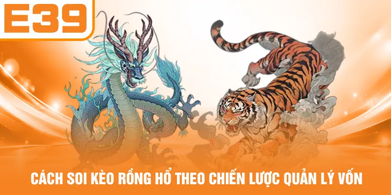 Cách soi kèo Rồng Hổ theo chiến lược quản lý vốn