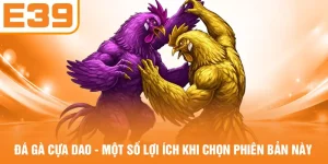 Đá Gà Cựa Dao - Một Số Lợi Ích Khi Chọn Phiên Bản Này