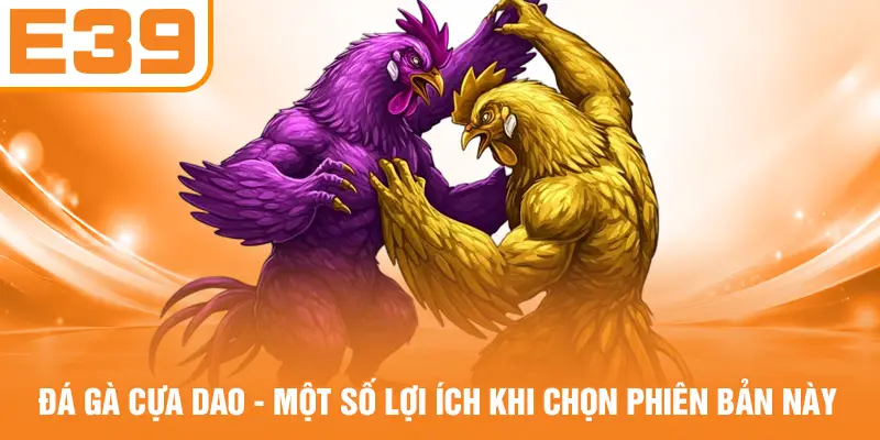 Đá Gà Cựa Dao - Một Số Lợi Ích Khi Chọn Phiên Bản Này