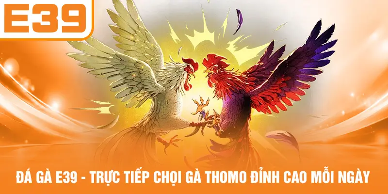 Đá Gà E39 - Trực Tiếp Chọi Gà Thomo Đỉnh Cao Mỗi Ngày