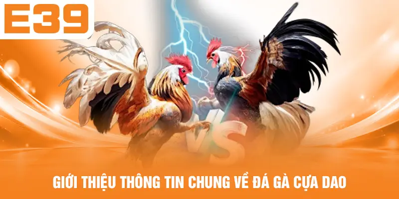 Giới thiệu thông tin chung về đá gà cựa dao