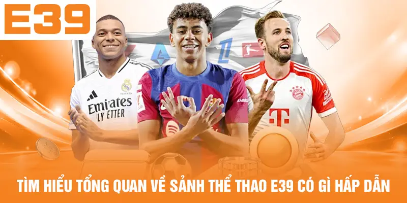 Tìm hiểu tổng quan về sảnh thể thao E39 có gì hấp dẫn